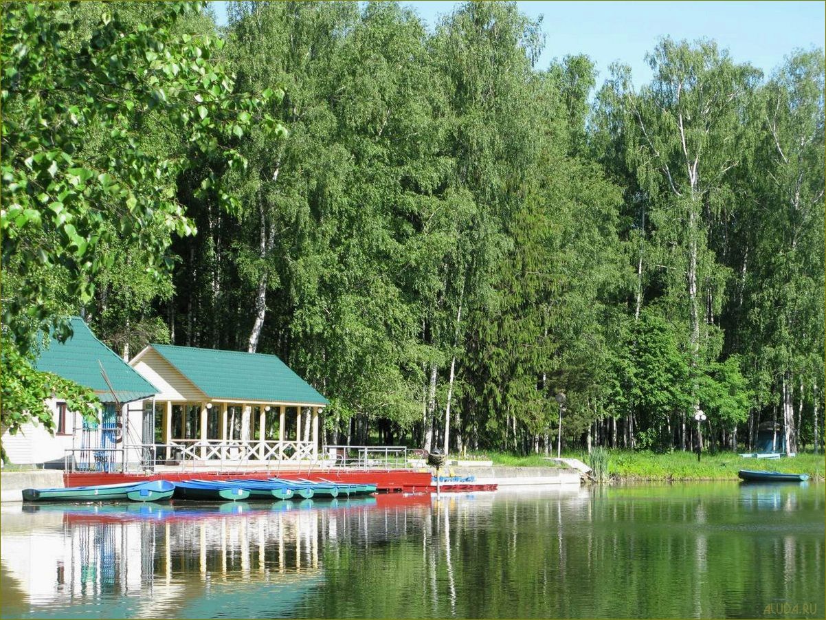 (база, отдыха, пушкино, идеальное, место) База отдыха
