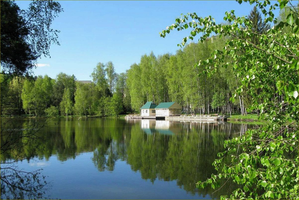 (база, отдыха, пушкино, идеальное, место) База отдыха