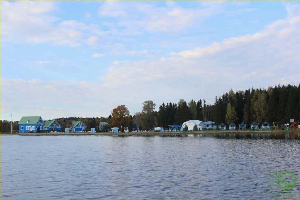 (база, отдыха, торбеево, идеальное, место) База отдыха Торбеево — идеальное место для отдыха в Московской области