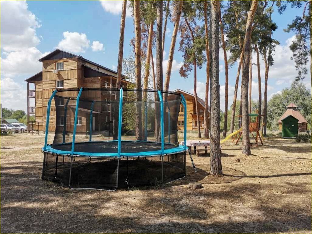 (база, отдыха, глухомань, бобров, воронежской) База отдыха