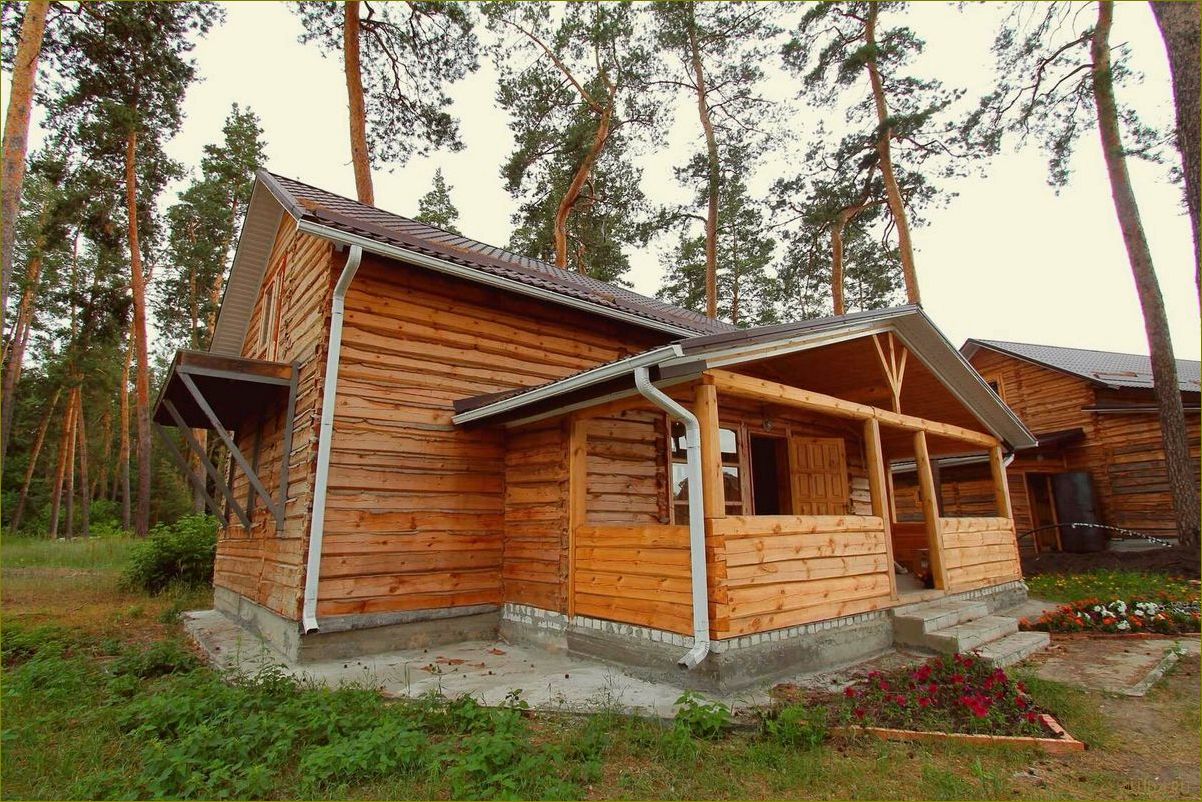(база, отдыха, глухомань, бобров, воронежской) База отдыха