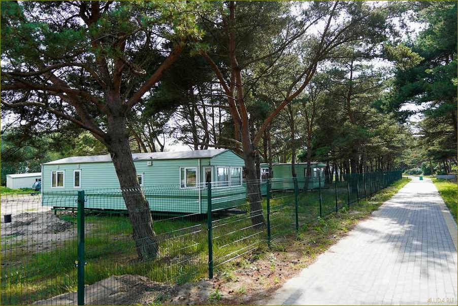 (база, отдыха, куликово, калининградской, области) База отдыха