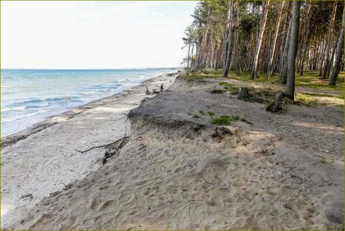 (база, отдыха, куликово, калининградской, области) База отдыха