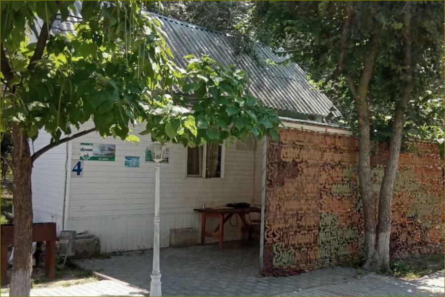 (база, отдыха, людмила, идеальное, место) База отдыха