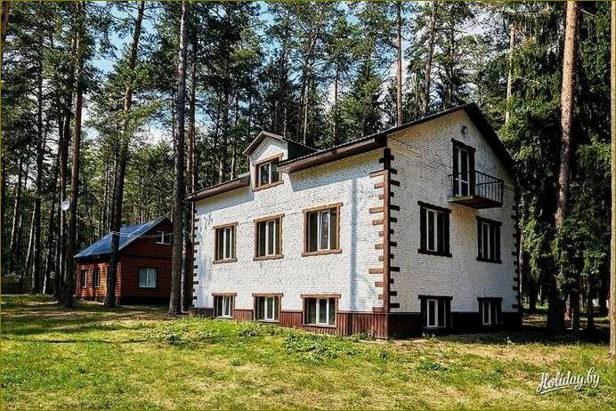 (база, отдыха, кировском, районе, могилевской) База отдыха в Кировском районе Могилевской области — идеальное место для отдыха и развлечений