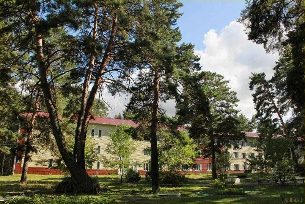 (лучшие, базы, отдыха, санатории, курганской) Лучшие базы отдыха и санатории Курганской области — где провести незабываемый отпуск и восстановить здоровье