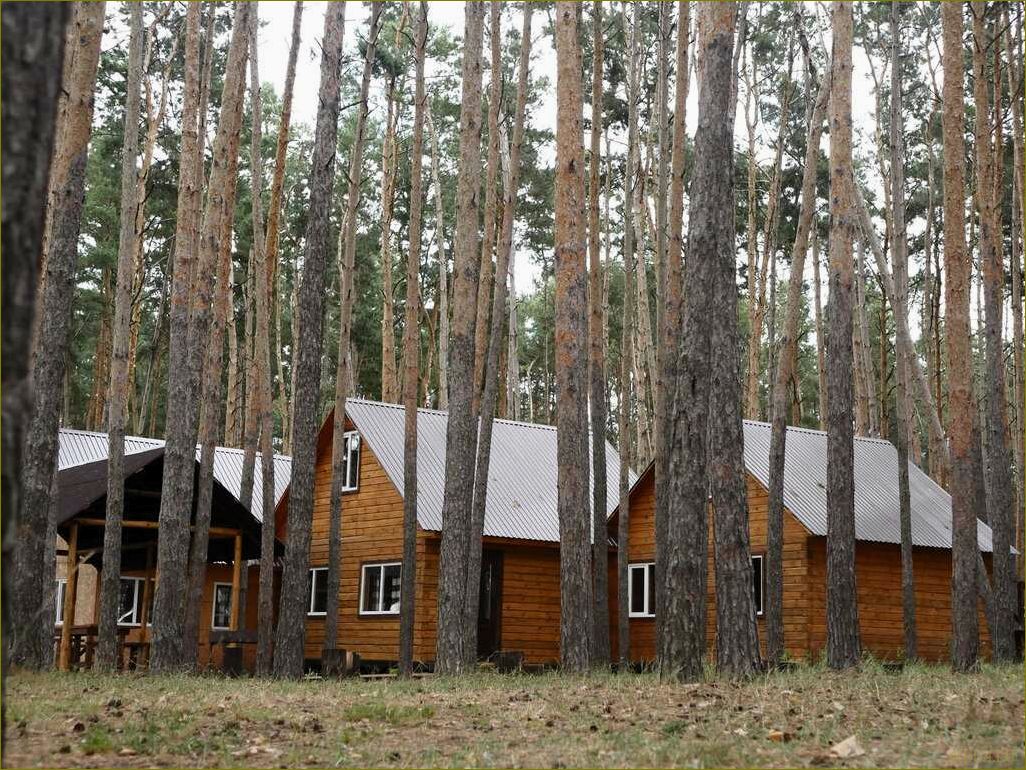 (прекрасные, базы, отдыха, тамбовской, липецкой) Прекрасные базы отдыха в Тамбовской и Липецкой областях, где вы сможете насладиться комфортом и природой