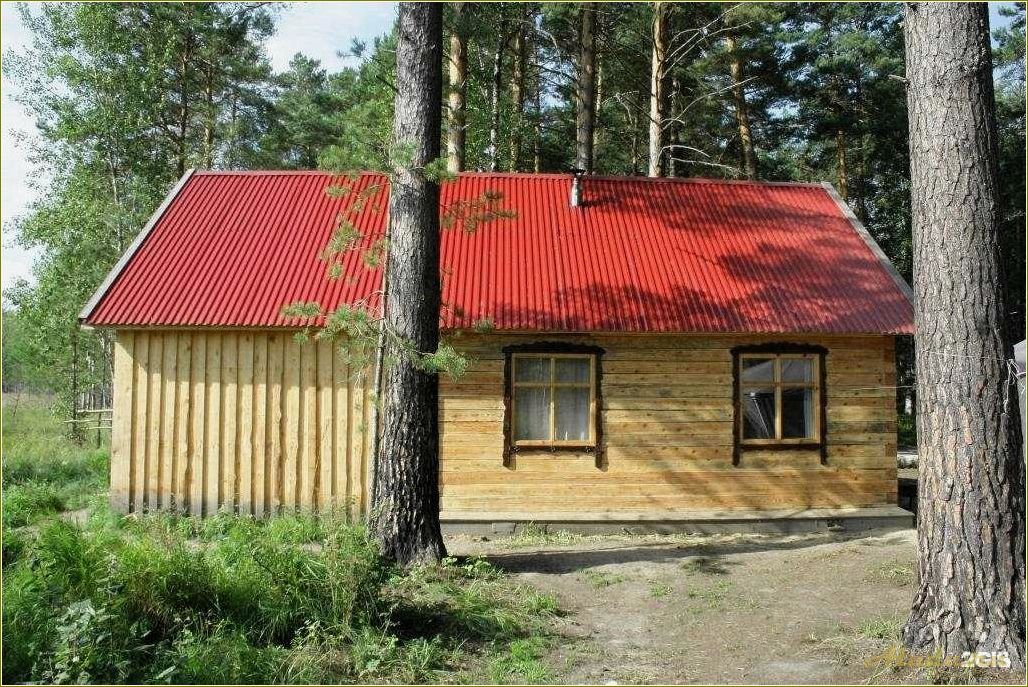 (базы, отдыха, томской, области, летнее) Базы отдыха на Оби в Томской области в летнее время