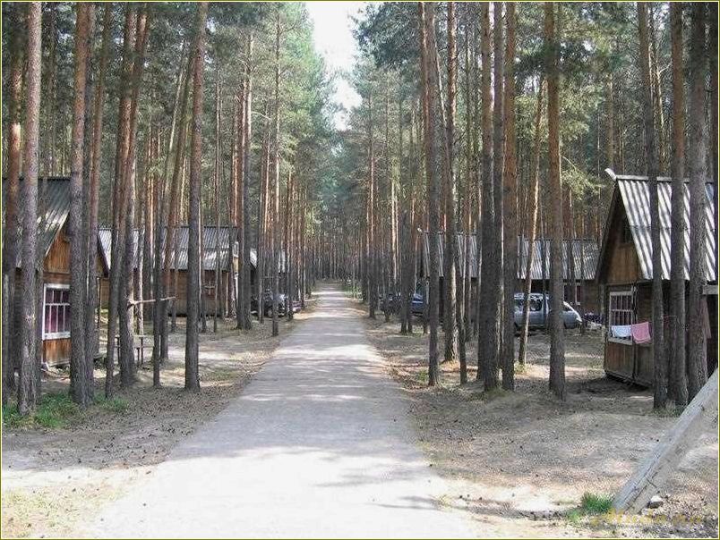 (базы, отдыха, томской, области, летнее) Базы отдыха на Оби в Томской области в летнее время