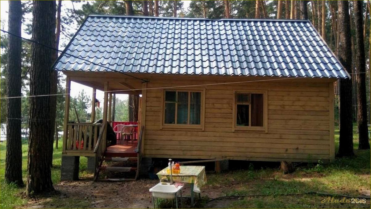 (боровое, идеальное, место, отдыха, новосибирской) Боровое — идеальное место для отдыха в Новосибирской области — базы отдыха, природа и развлечения