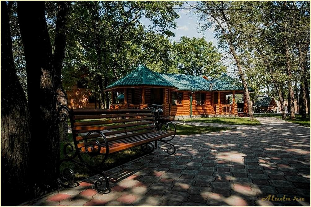 (отдыха, исток, ростовской, области, идеальное) Дом отдыха