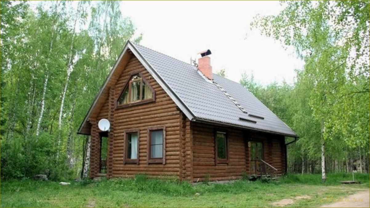 Дома отдыха в Новгородской области — недорого, все включено, отличный вариант для отдыха!