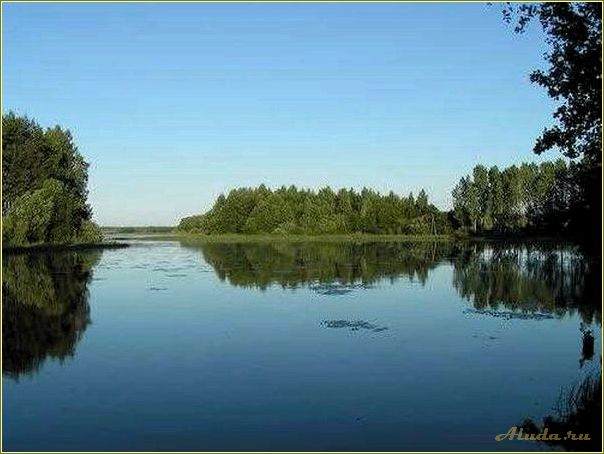 (отдых, казаринке, смоленская, область, лучшие) Отдых в Казаринке, Смоленская область: лучшие места и развлечения