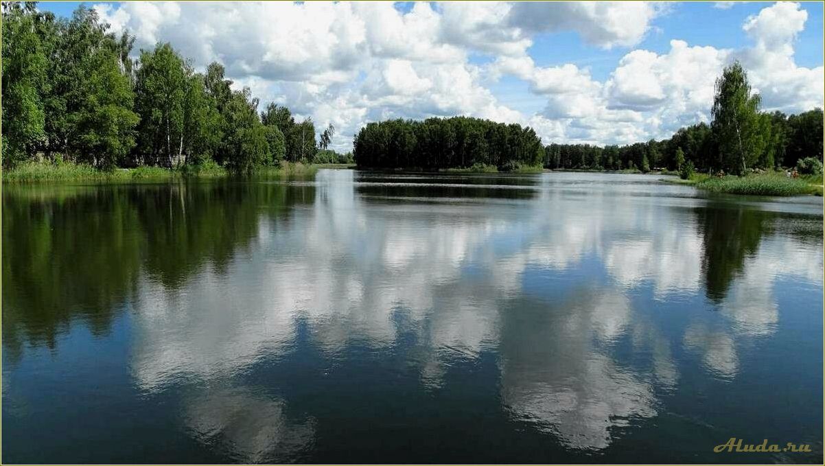 (отдых, казаринке, смоленская, область, лучшие) Отдых в Казаринке, Смоленская область: лучшие места и развлечения