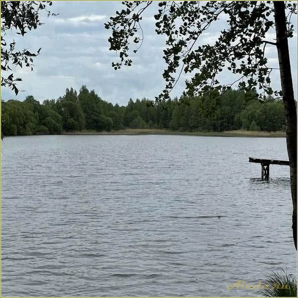 (отдых, казаринке, смоленская, область, лучшие) Отдых в Казаринке, Смоленская область: лучшие места и развлечения