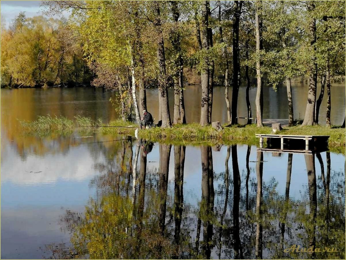 (отдых, казаринке, смоленская, область, лучшие) Отдых в Казаринке, Смоленская область: лучшие места и развлечения