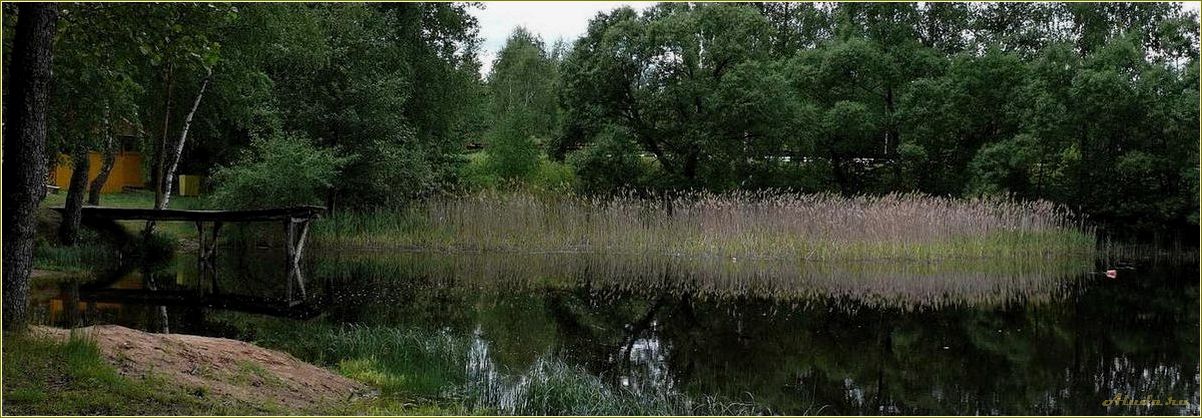 (отдых, казаринке, смоленская, область, лучшие) Отдых в Казаринке, Смоленская область: лучшие места и развлечения