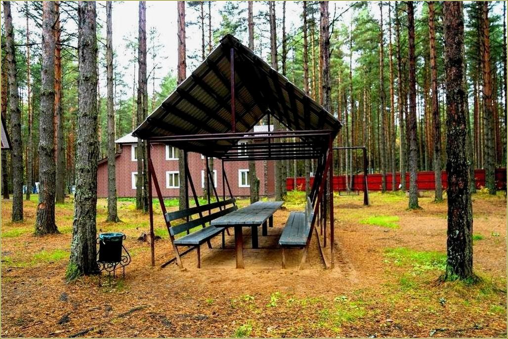 (отдых, казаринке, смоленская, область, лучшие) Отдых в Казаринке, Смоленская область: лучшие места и развлечения