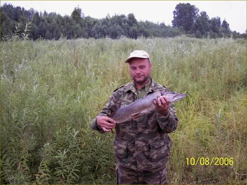 (кобра, база, отдыха, кировской, области) Кобра база отдыха в Кировской области — идеальное место для полного релакса и активного времяпрепровождения