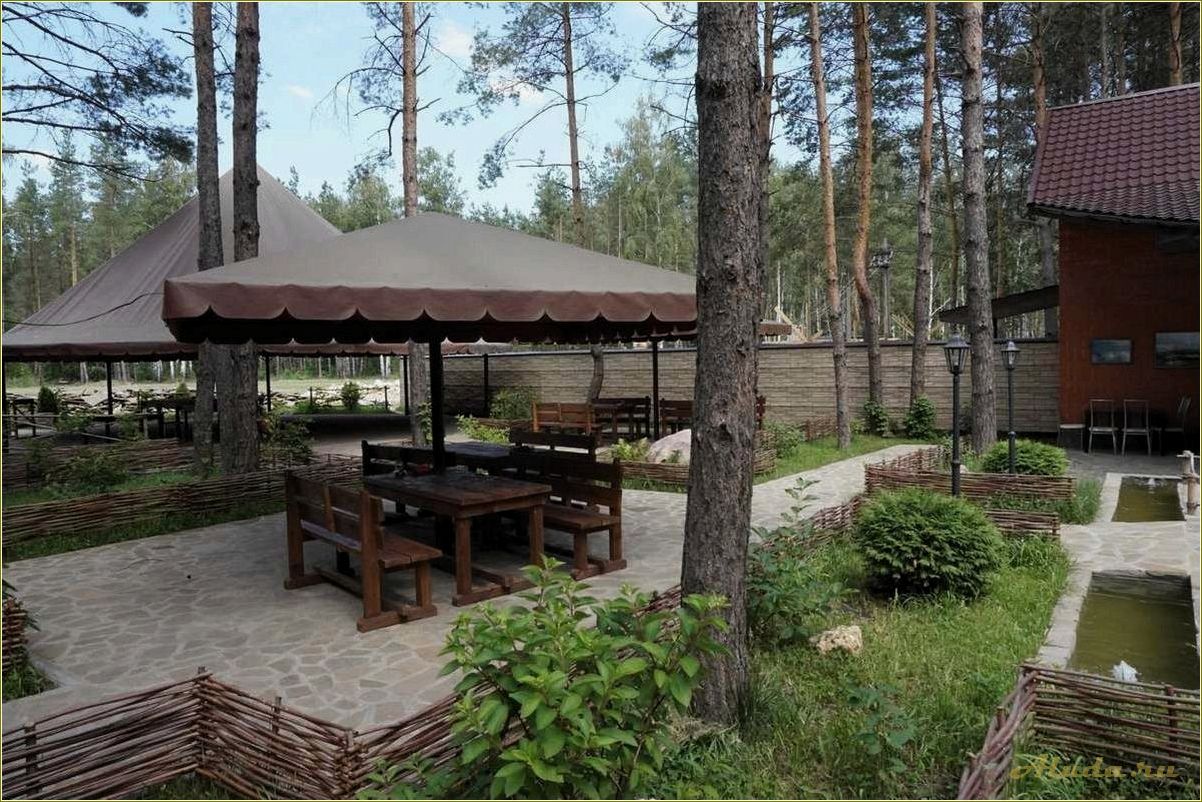 (отдых, лесной, сказке, тамбовской, области) Отдых в лесной сказке Тамбовской области