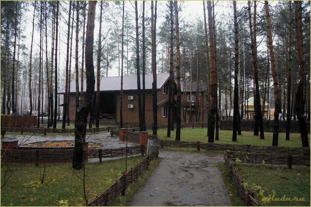 (отдых, лесной, сказке, тамбовской, области) Отдых в лесной сказке Тамбовской области