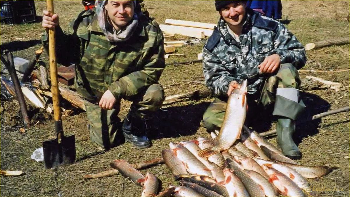 (лучшие, места, рыбалки, омской, области) Лучшие места для рыбалки в Омской области — отдых на природе, уловистые водоемы и незабываемые эмоции