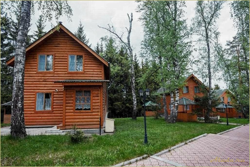 (отдых, березовой, роще, тульской, области) Отдых в березовой роще Тульской области