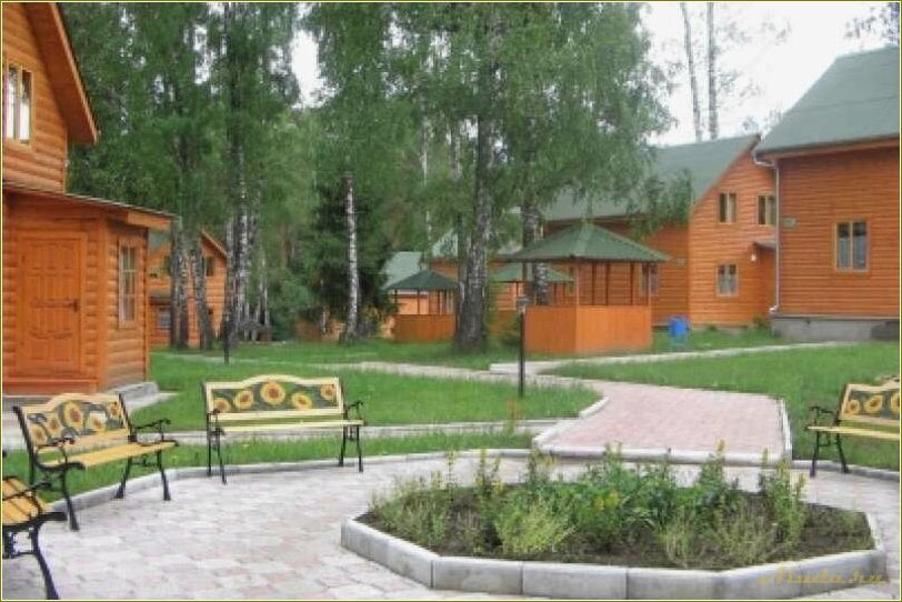 (отдых, березовой, роще, тульской, области) Отдых в березовой роще Тульской области