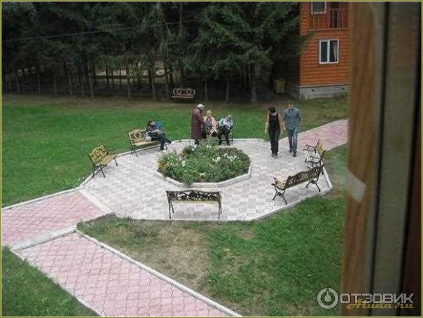 (отдых, березовой, роще, тульской, области) Отдых в березовой роще Тульской области