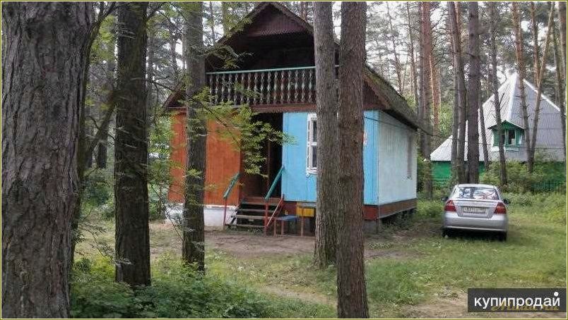 (отдых, бунырево, тульской, области, лучшие) Отдых в Бунырево Тульской области: лучшие места и развлечения