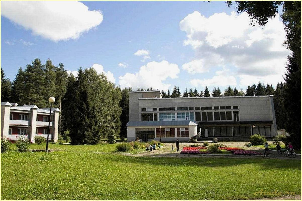(отдых, псковской, области, база, отдыха) Отдых в Псковской области — база отдыха