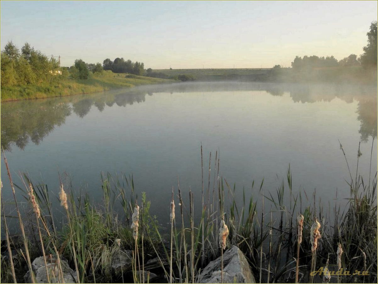 (отдых, водоемом, тульской, области) Отдых с водоемом в Тульской области