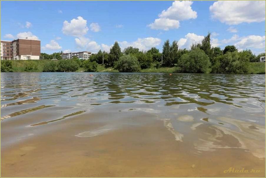 (отдых, водоемом, тульской, области) Отдых с водоемом в Тульской области