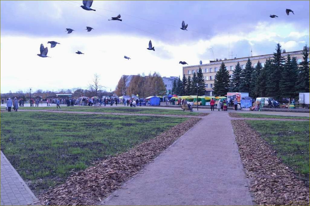 (отдых, сокол, вологодская, область, лучшие) Отдых сокол Вологодская область — лучшие места для активного отдыха и экскурсий