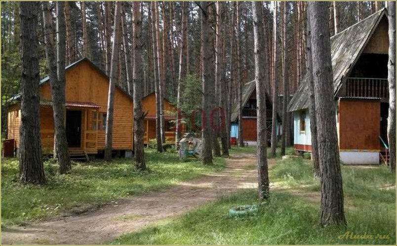 Отдых в Алексине, Тульская область: лучшие места и развлечения
