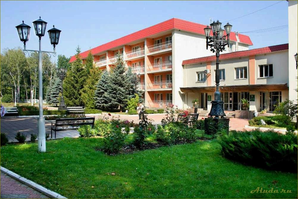 (отдых, пансионате, орловской, области, прекрасная) Отдых в пансионате Орловской области — прекрасная возможность насладиться природой и комфортом