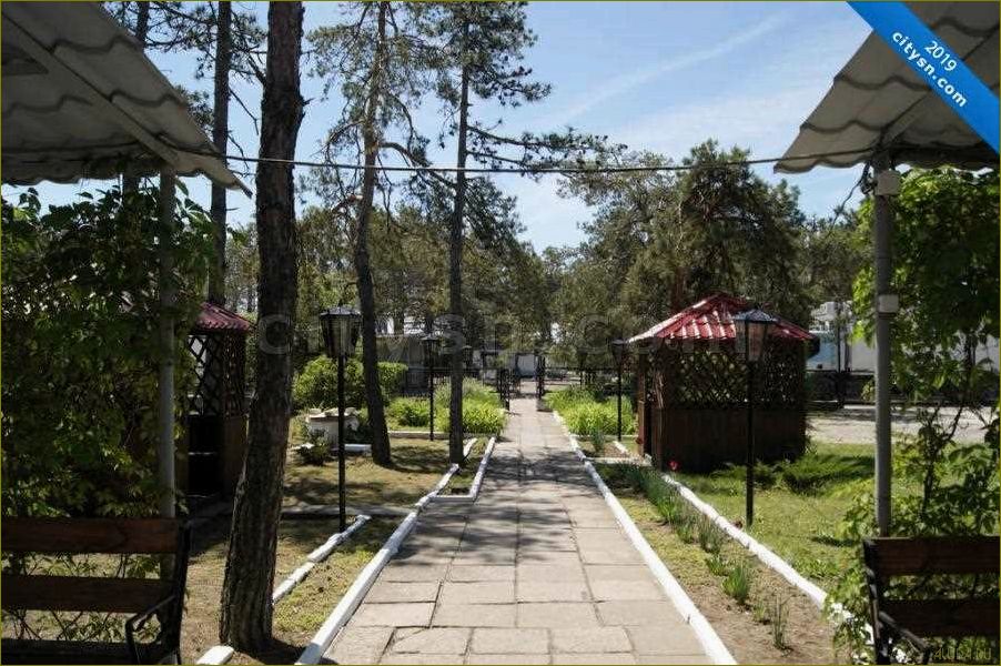 (отдых, базе, отдыха, колос, воронежской) Отдых на базе отдыха