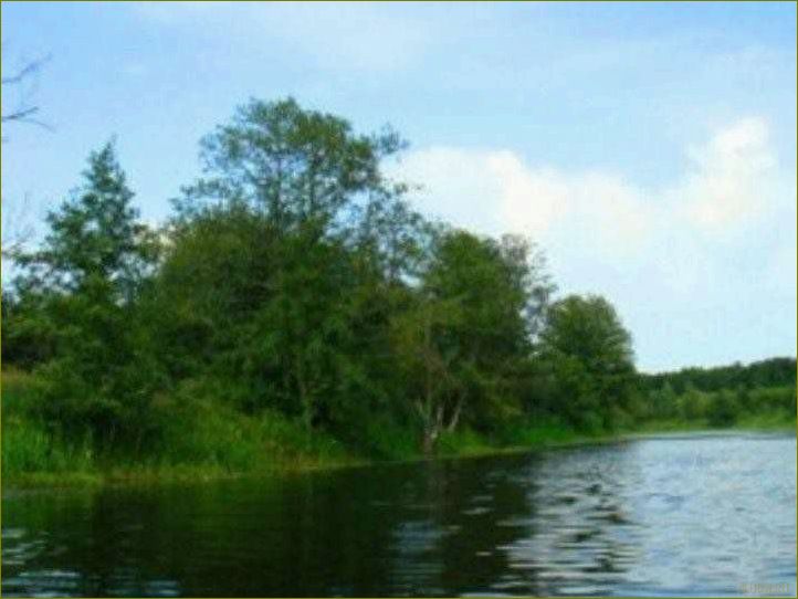 (отдых, базе, отдыха, колос, воронежской) Отдых на базе отдыха