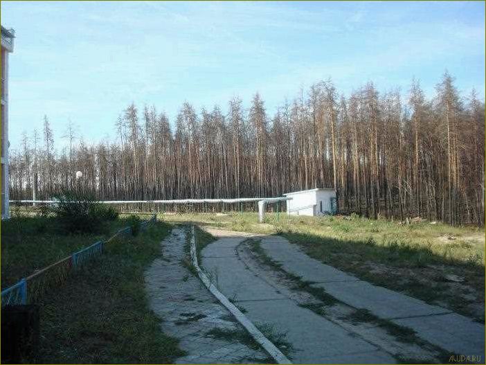 (отдых, базе, отдыха, колос, воронежской) Отдых на базе отдыха