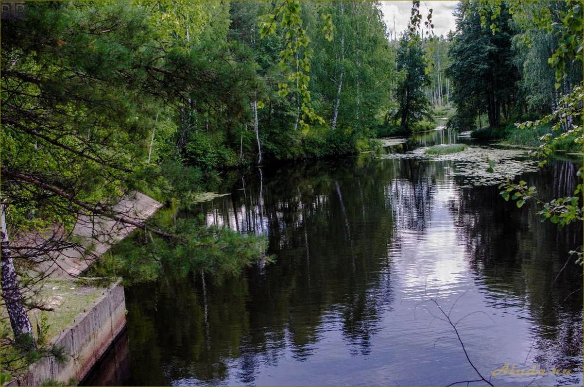 (отдых, борском, районе, нижегородской, области) Отдых в Борском районе Нижегородской области — наслаждайтесь прекрасной природой и уникальными достопримечательностями