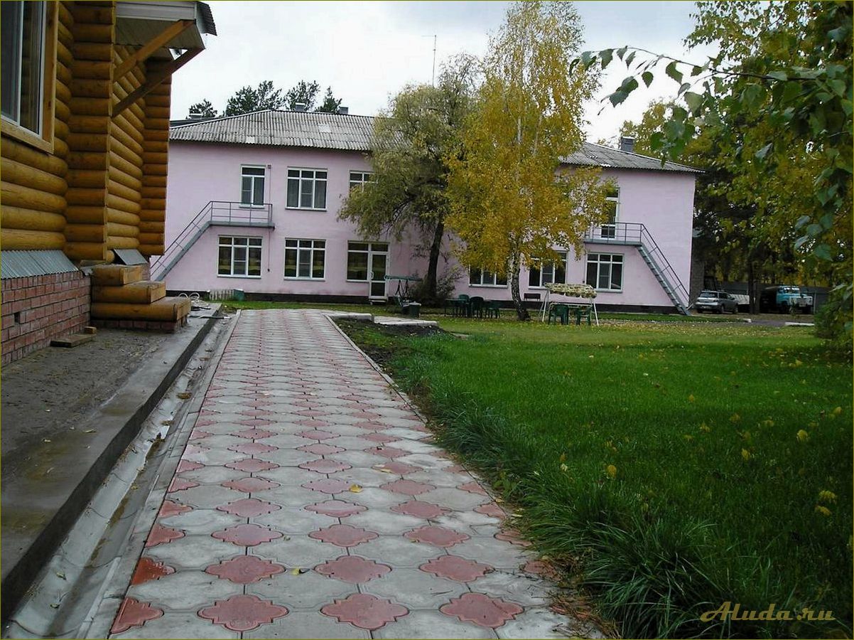 (отдых, большеречье, омской, области, лучшие) Отдых в большеречье Омской области — лучшие базы отдыха для комфортного времяпрепровождения