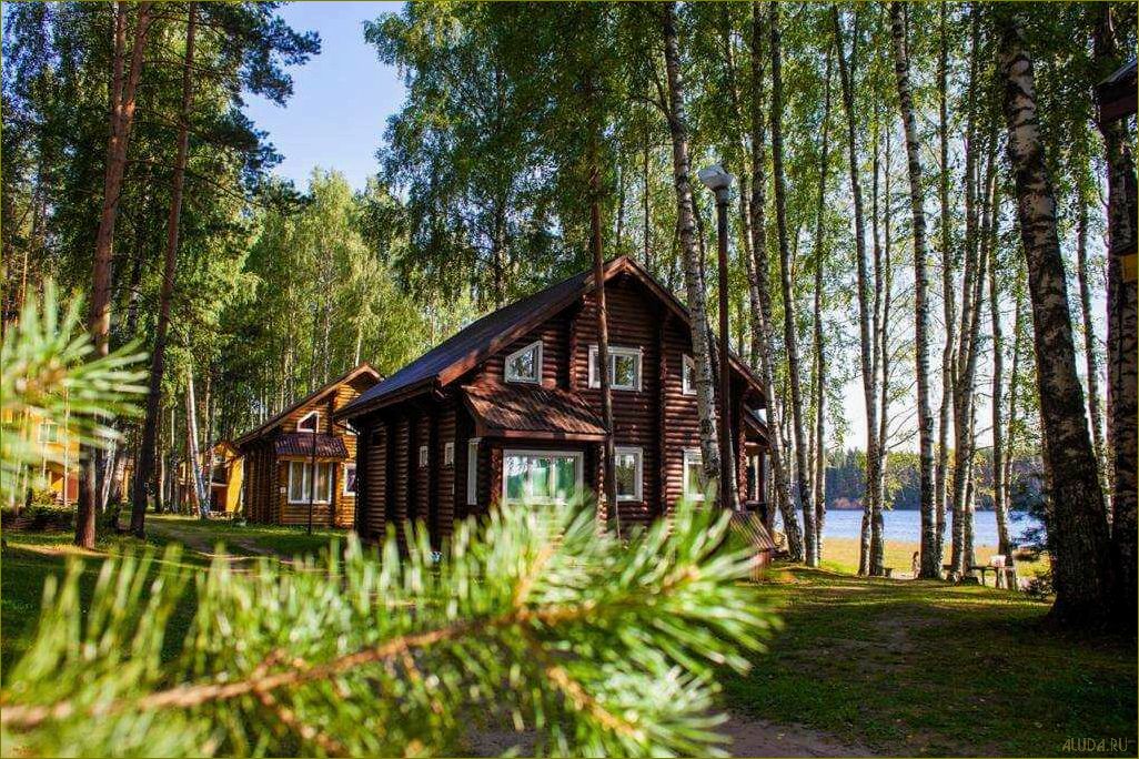 (отдых, вологодской, области, летом, лучшие) Отдых в Вологодской области летом — лучшие базы отдыха и идеальные места для отпуска в окружении природы