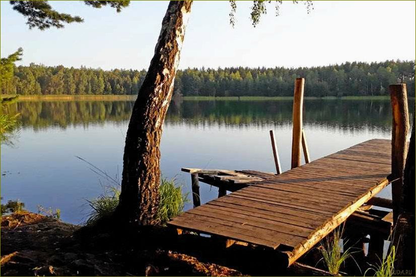 (лучшие, озера, брянска, брянской, области) Лучшие озера Брянска и Брянской области для идеального летнего отдыха в окружении природы и красоты Российского Запада