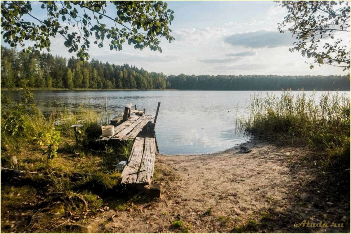 (озеро, черненькое, идеальное, место, отдыха) Озеро Черненькое — идеальное место для отдыха с палатками в Рязанской области