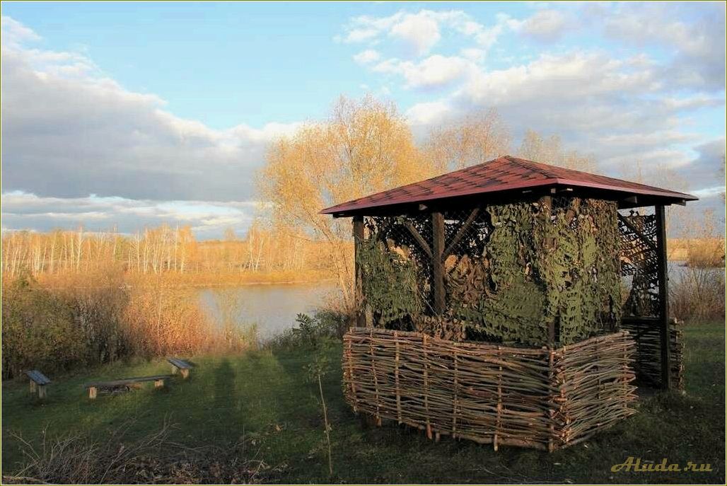 (озеро, снежное, самарской, области, идеальное) Озеро Снежное в Самарской области — идеальное место для отдыха и релаксации