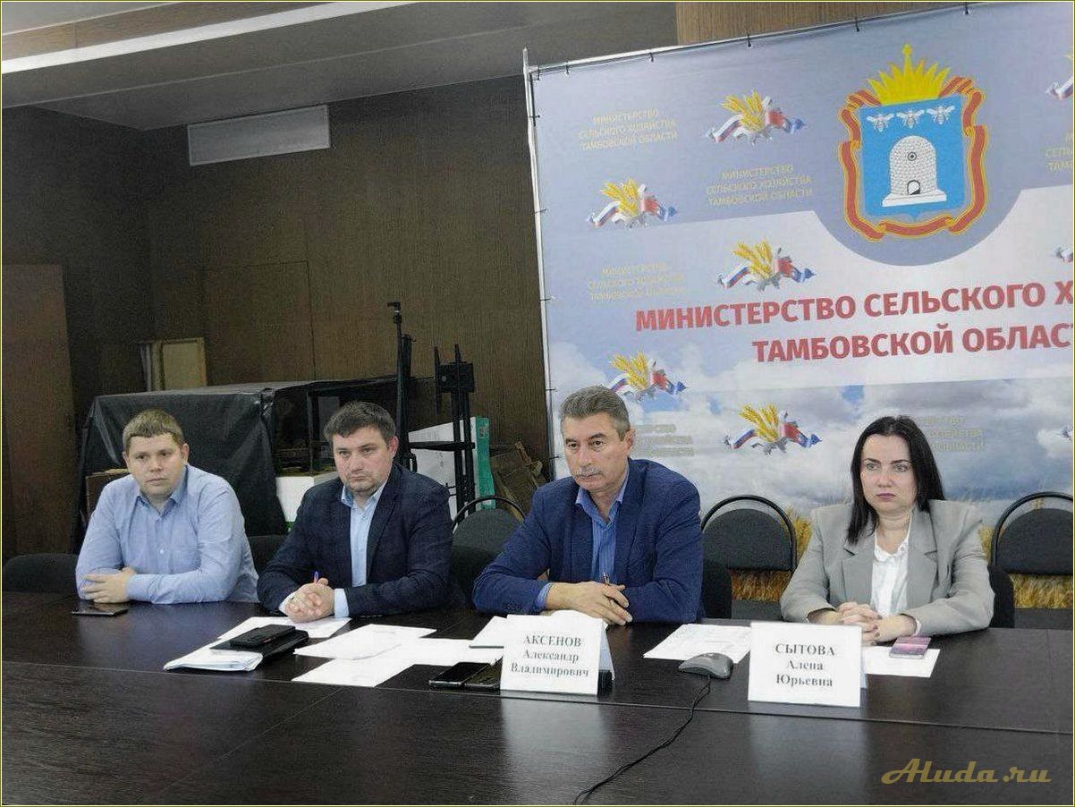 (программа, развитию, туризма, тамбовской, области) Программа по развитию туризма в Тамбовской области