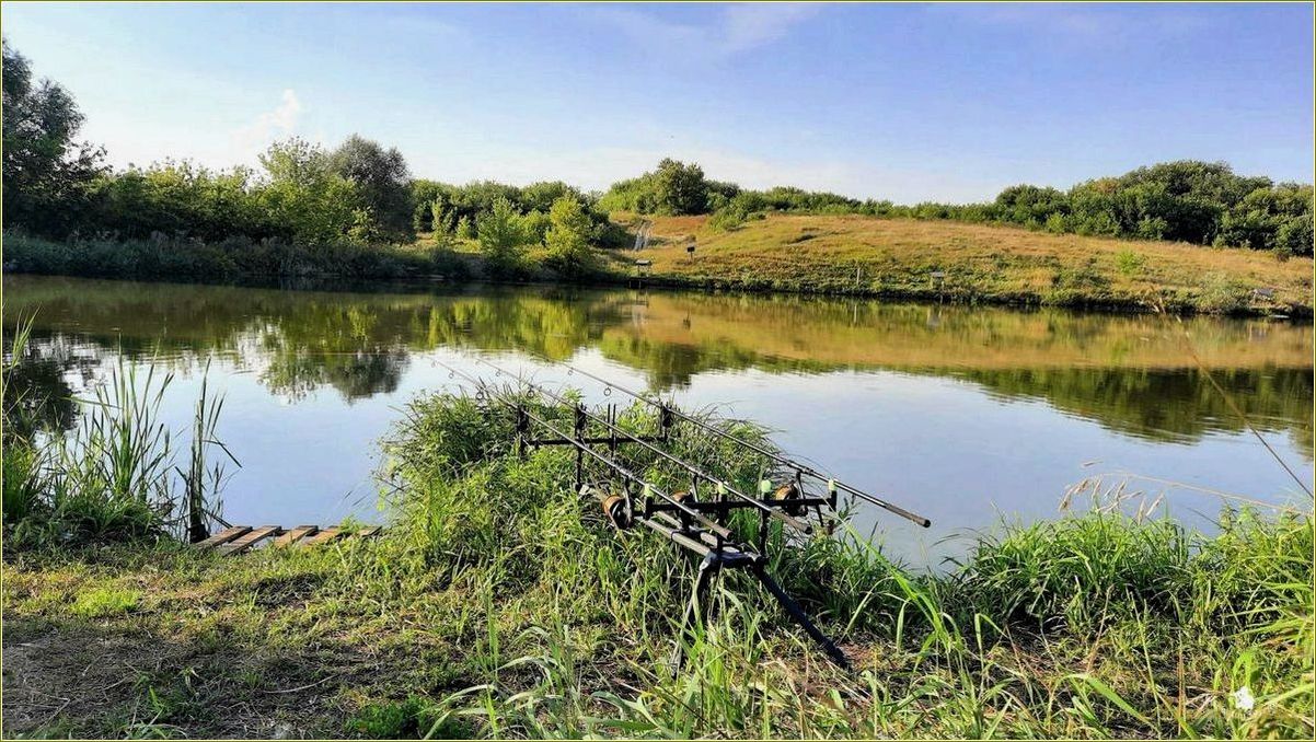 (лучшие, водоемы, пензенской, области, семейного) Лучшие водоемы Пензенской области для семейного отдыха и активного времяпрепровождения