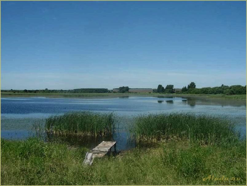 (лучшие, водоемы, пензенской, области, семейного) Лучшие водоемы Пензенской области для семейного отдыха и активного времяпрепровождения