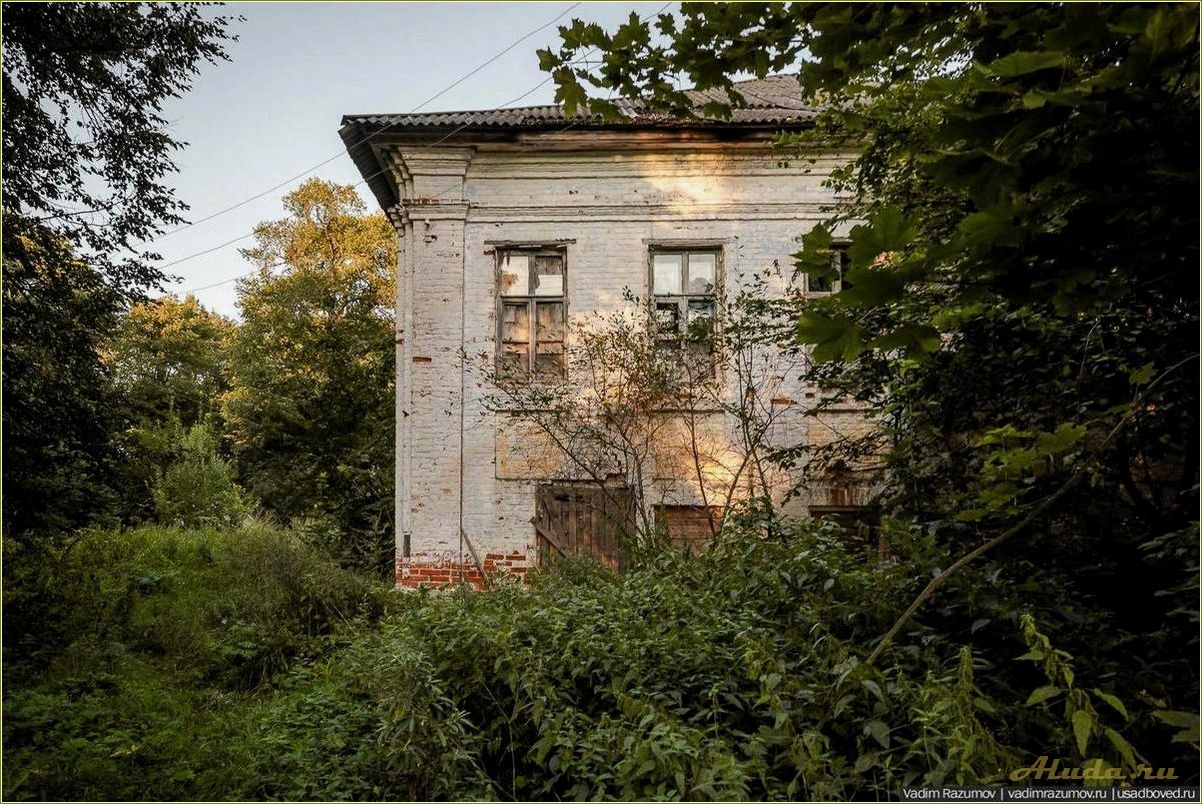 (заброшенная, база, отдыха, ярославской, области) Заброшенная база отдыха в Ярославской области: история и состояние