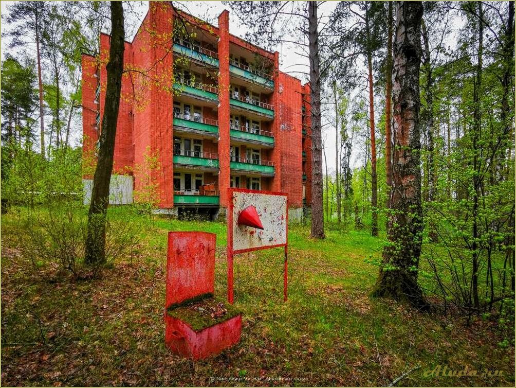 (заброшенная, база, отдыха, ярославской, области) Заброшенная база отдыха в Ярославской области: история и состояние
